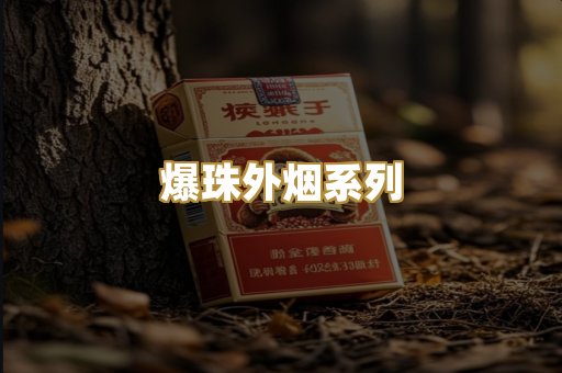 越南代工系列