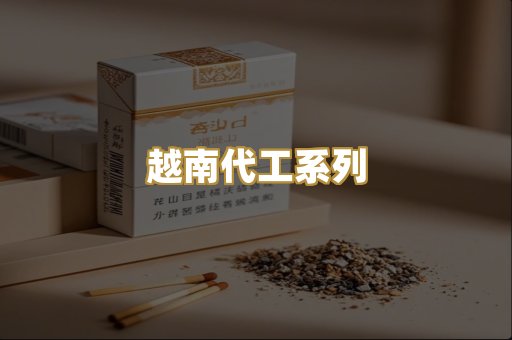 越南代工系列